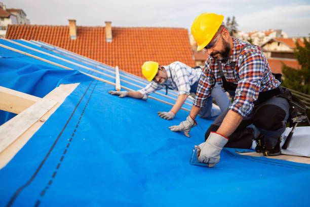 Best Storm Damage Roof Repair  in Rising Sun Lebanon, DE